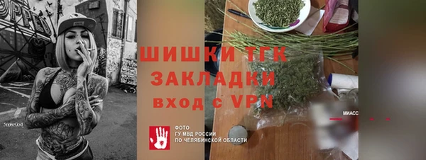 прущие грибы Инта