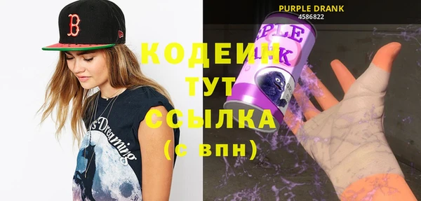 прущие грибы Инта