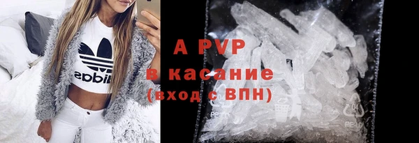 прущие грибы Инта