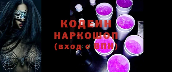 прущие грибы Инта
