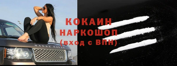прущие грибы Инта