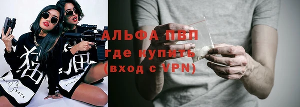 прущие грибы Инта