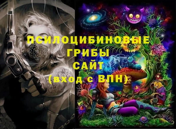 прущие грибы Инта