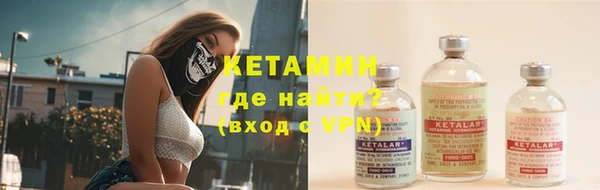 прущие грибы Инта