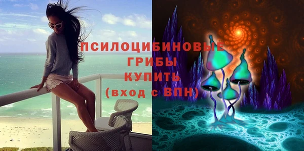 стафф Инсар