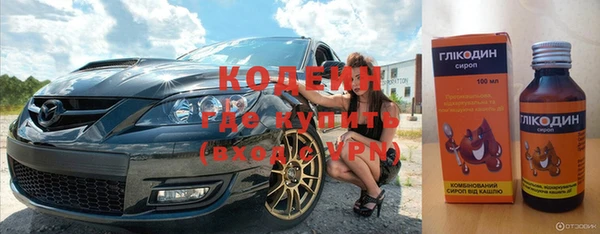 прущие грибы Инта
