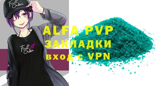 прущие грибы Инта