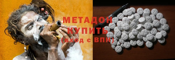 прущие грибы Инта