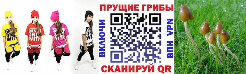 omg ССЫЛКА  Карасук  Галлюциногенные грибы ЛСД  как найти наркотики 