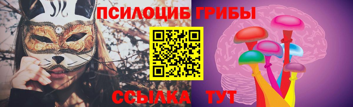 Псилоцибиновые грибы мухоморы Карасук